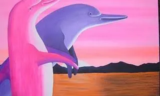 Delfines de colores