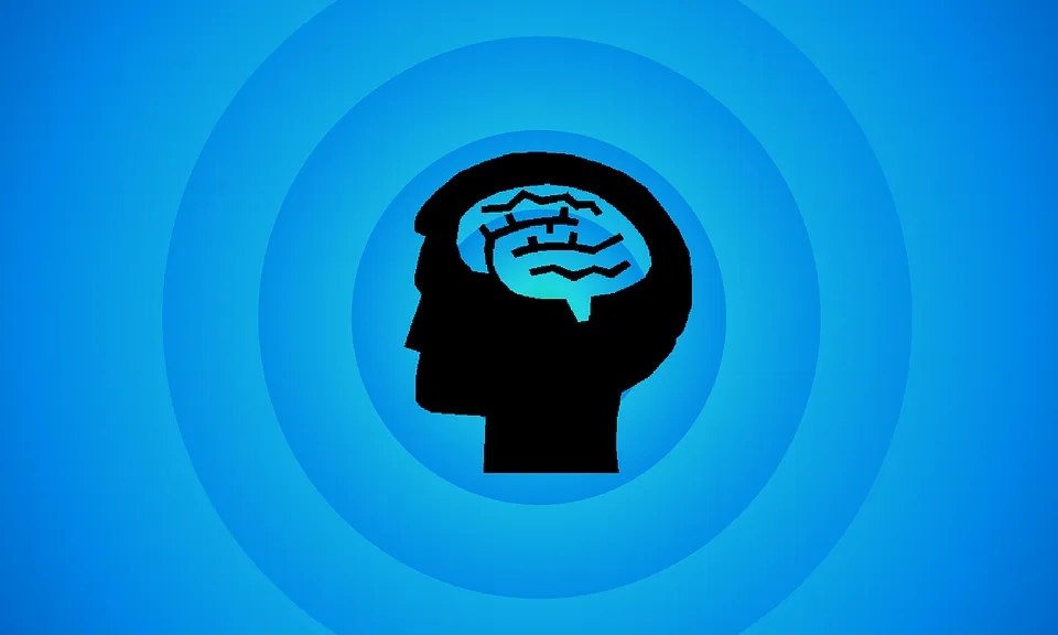 Intel·ligència emocional. Font: pixabay.com