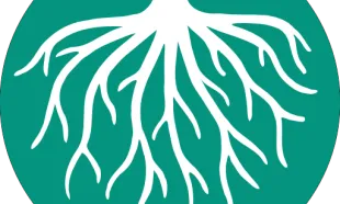 Les arrels, símbol en el nou logotip de CoopFunding
