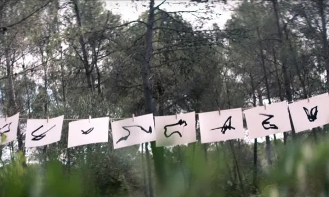 El traç en l'aire de les abelles dibuixa una signatura (imatge:greenpeacespain)