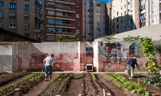 Imatge d'un hort urbà del Pla BUITS. Font: web ajuntament.barcelona.cat