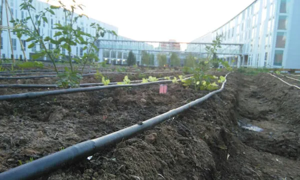 El sistema de regadiu de l'hort compta amb la millora d'estudiants d'enginyeria hidràulica (Font: Horts Socials URV)