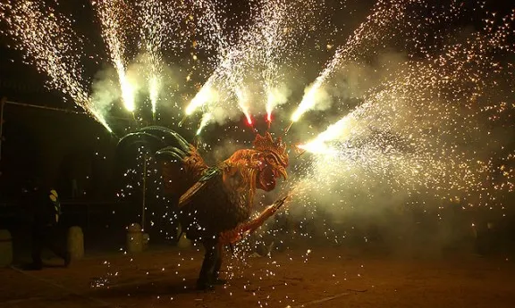 El gall de Ripoll