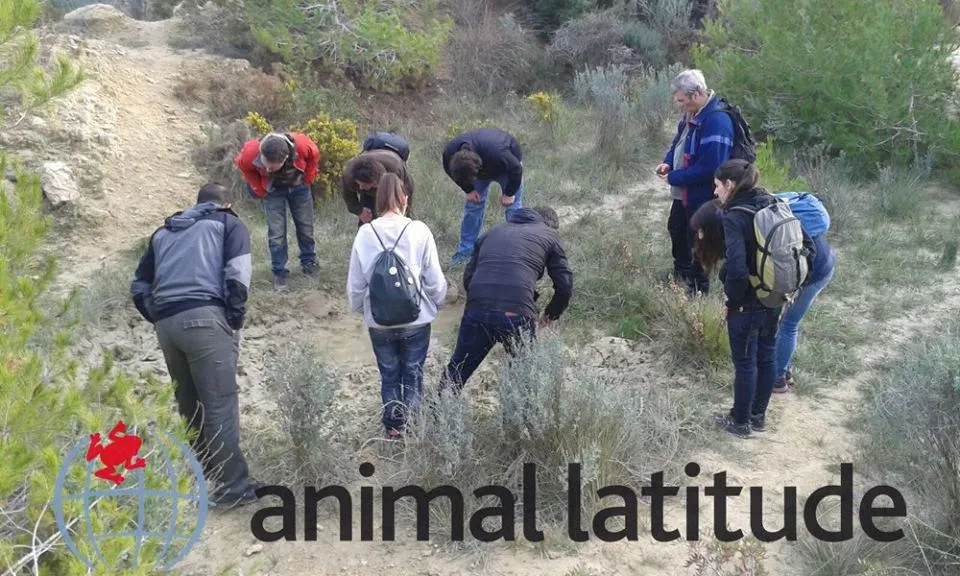 Seguiment de rastres de mamífers (imatge:Animl Latitude)