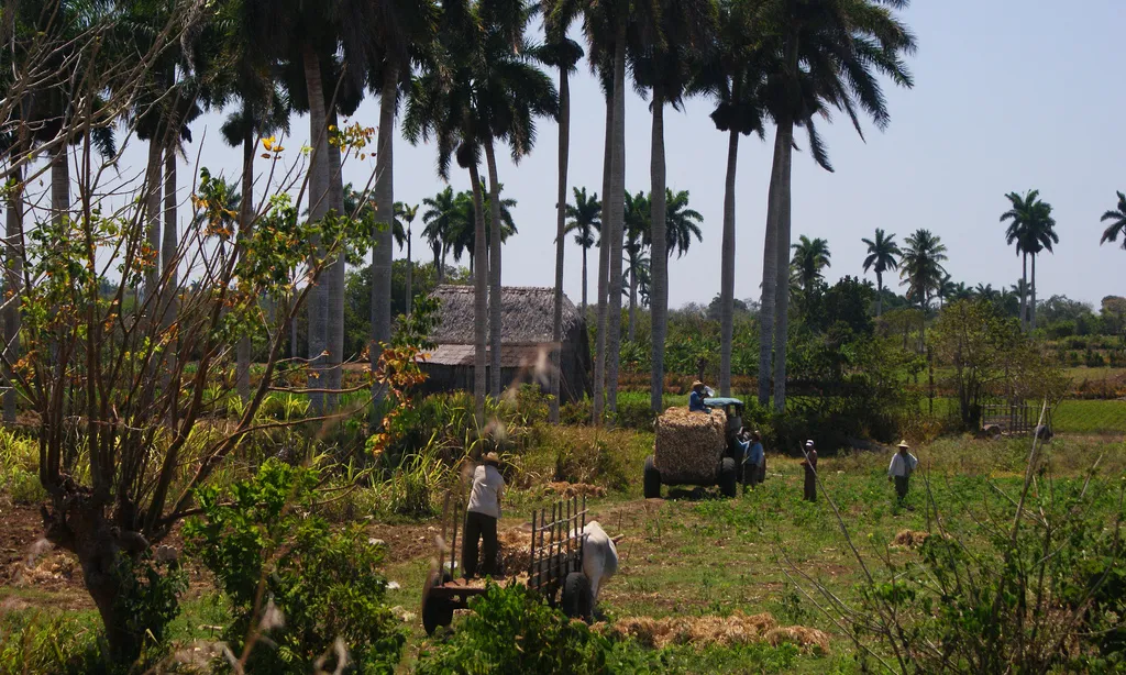 Comunitat camperola a Cuba. Font: Flickr