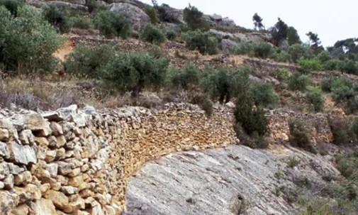 Prioritat, entitat en defensa dels valors del paisatge cultural de la comarca.