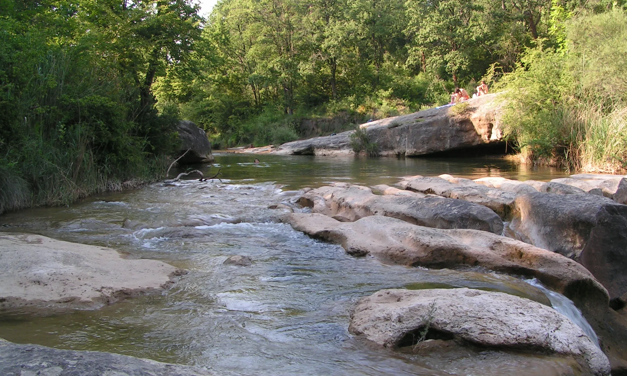 La riera de Merlès, on Adeffa prepara una jornada de voluntariat ambiental (imatge: flickr.com/TalOriol)
