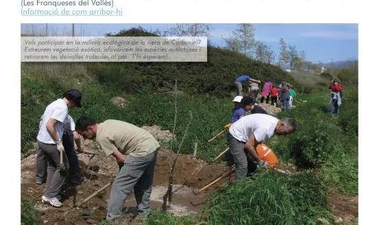 Jornada de Voluntariat ambiental a la riera de Carbonell, amb l'Associació Hàbitats (imatge:custodiafluvial.wordpress.com) 