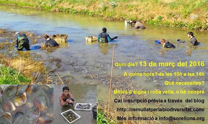 Voluntariat Ambiental al Baix Ter (imatge: sorellona.org)
