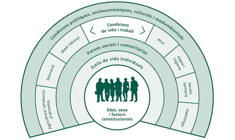 Els determinants socials de la salut. Font: Informe de Salut de Barcelona 2013