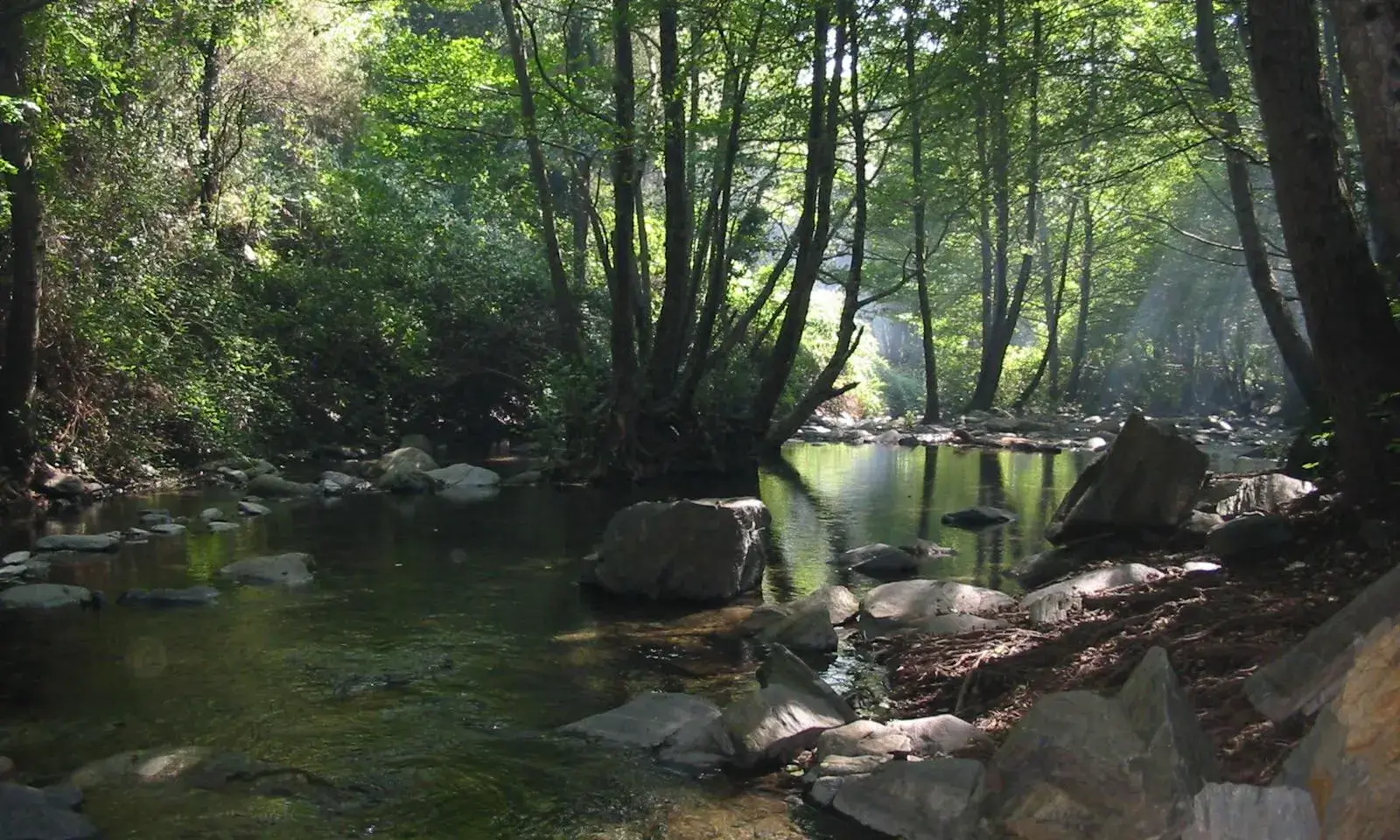 Parc Natural del Montseny. Font: ca.wikipedia.org Parc Natural del Montseny. Font: ca.wikipedia.org