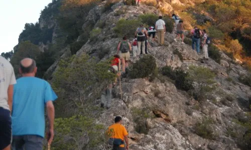 Imatge de la Picossa. Font: Associació La Picossa 