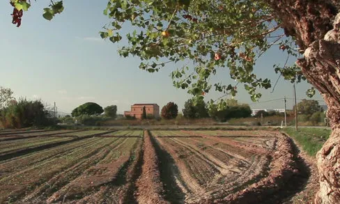 L'agricultura de proximitat és un dels valors del Baix Llobregat (imatge:elbaix.cat)