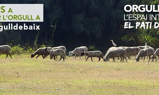 El paisatge  mixte del Baix Llobregat, en el que agricultura i espais naturals tenen lloc al costat de les infraestructures (imatge:elbaix.cat)