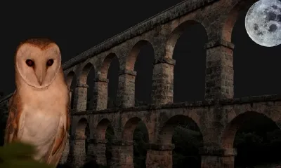 Sortida nocturna al Pont del Diable (23 d’abril, Tarragona).