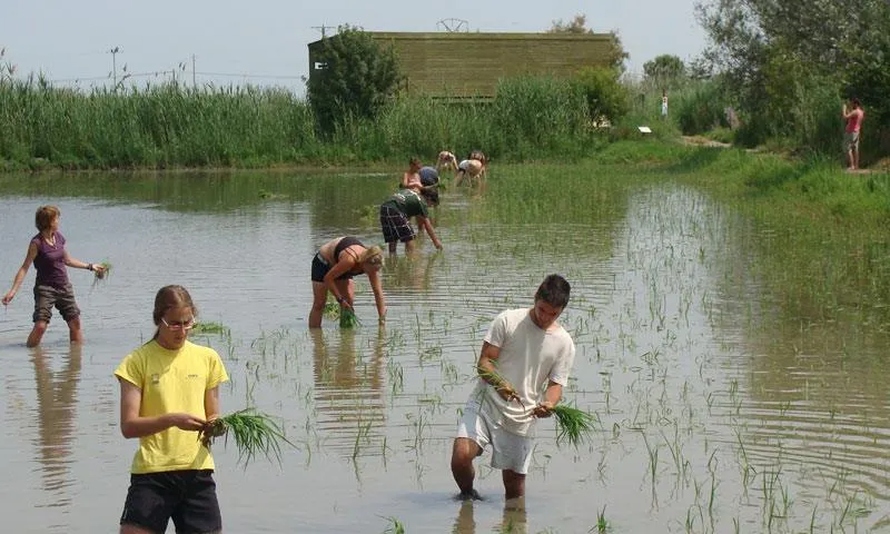 La Setmana de la Natura vol arribar a tots els indrets de Catalunya (imatge:xvac.cat)