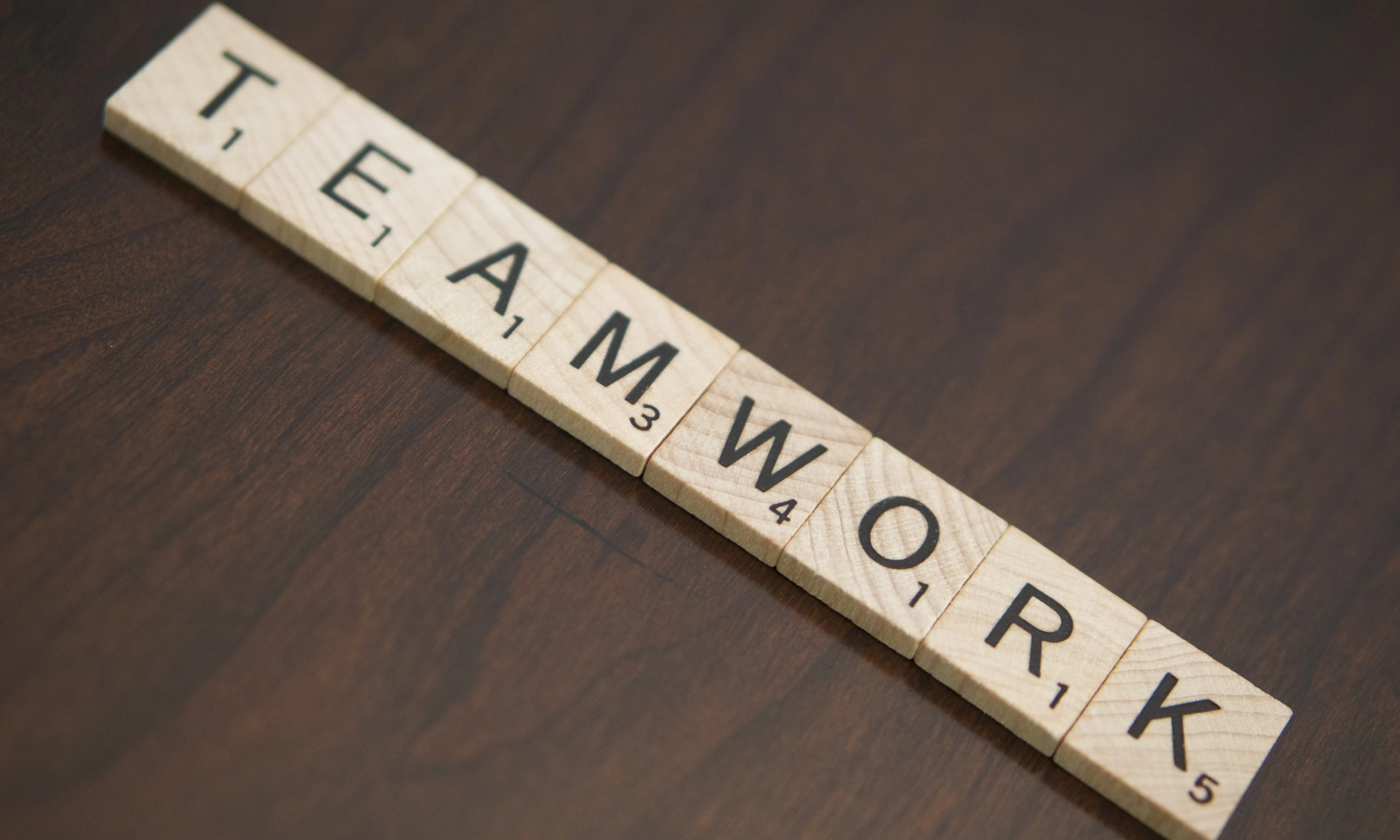 Teamwork. Font: Steve Davis (Flickr)
