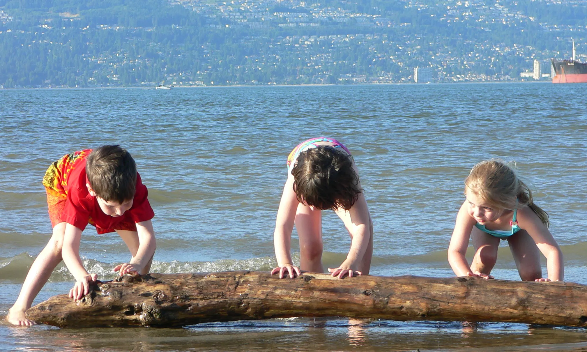 Teamwork. Font: David Ascher (Flickr)