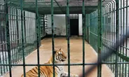 El debat sobre els zoos és una de les línies de treball de FAADA (imatge: faada.org)