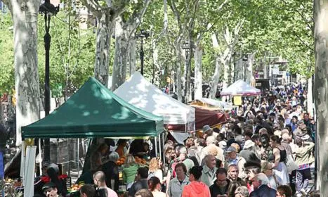 La Fira de la Terra és un esdeveniment popular a Barcelona des de fa 21 anys (imatge:diadelaterra.org)