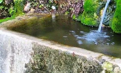 Com a punts d’aigua, les fonts constitueixen un ecosistema viu. Amb una fauna, una flora i un paisatge associat. I tot sovint, un punt de trobada social i cultural important. (imatge: setmananatura.cat)