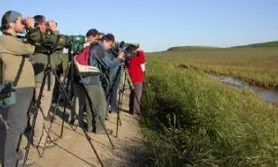 Activitat d'EGRELL d'observació a la natura