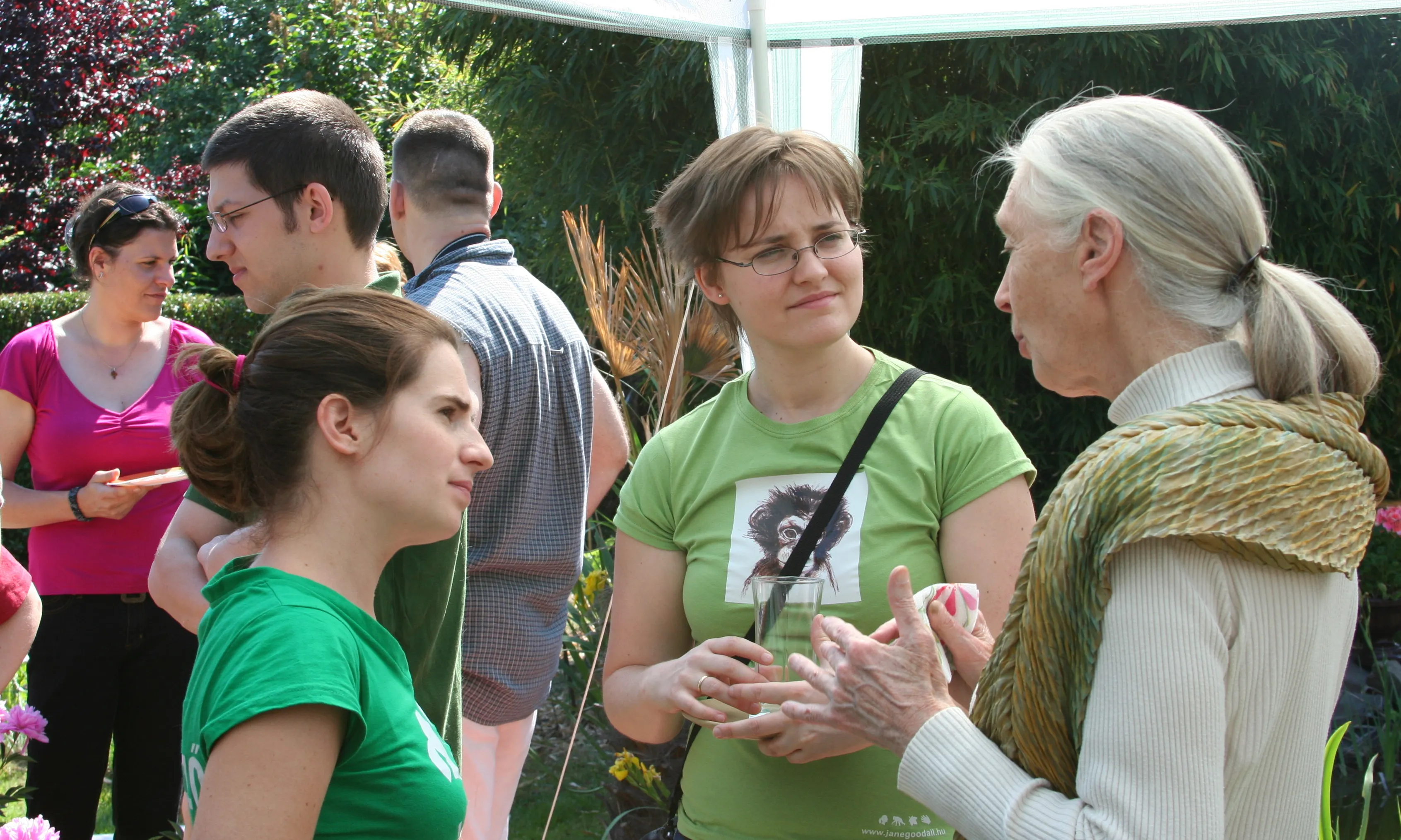 Jane Goodall, fundadora de l'IJG. Font: Wikipedia