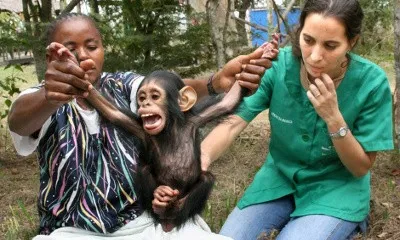Rebeca, veterinària del CRXT. Font: Institut Jane Goodall