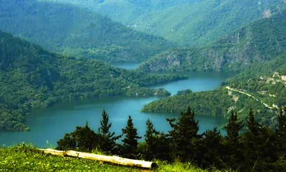 La Selva es defineix com a comarca de boscos i aigua, de mar i muntanya (imatge: inforural.com)