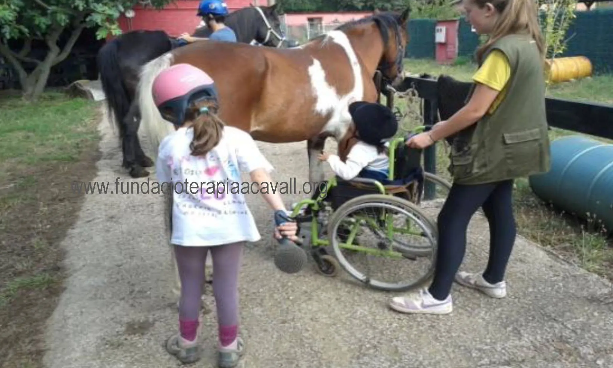 Teràpia a Cavall ofereix sessions de fisioteràpia que inclou el moviment del cavall com a estratègia de tractament (Font: Teràpia a Cavalls)