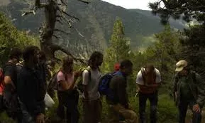 Boscos de Muntanya proposa estades de voluntariat per a adults als boscos del Pirineu (imatge: projecteboscos.cat)