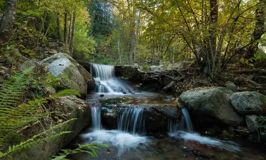 Parc natural del Montseny (Font: tripadvisor.es)