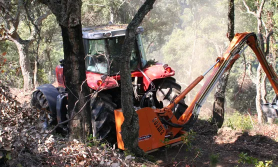 L'Agrupació de Defensa Forestal Forestec treballant per la prevenció i divulgació dels riscos als boscos 