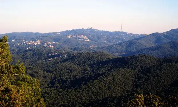 Imatge de Collserola. Font: FEEC