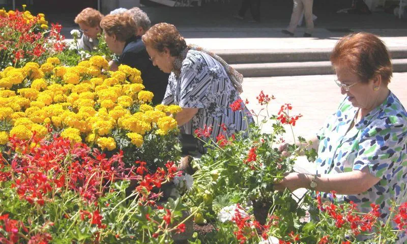 Fira de Medi Ambient de Tàrrega (Font: festescatalunya.cat)