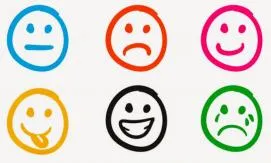 Curs sobre gestió d'emocions en l'acció voluntària.      Font: FCVS