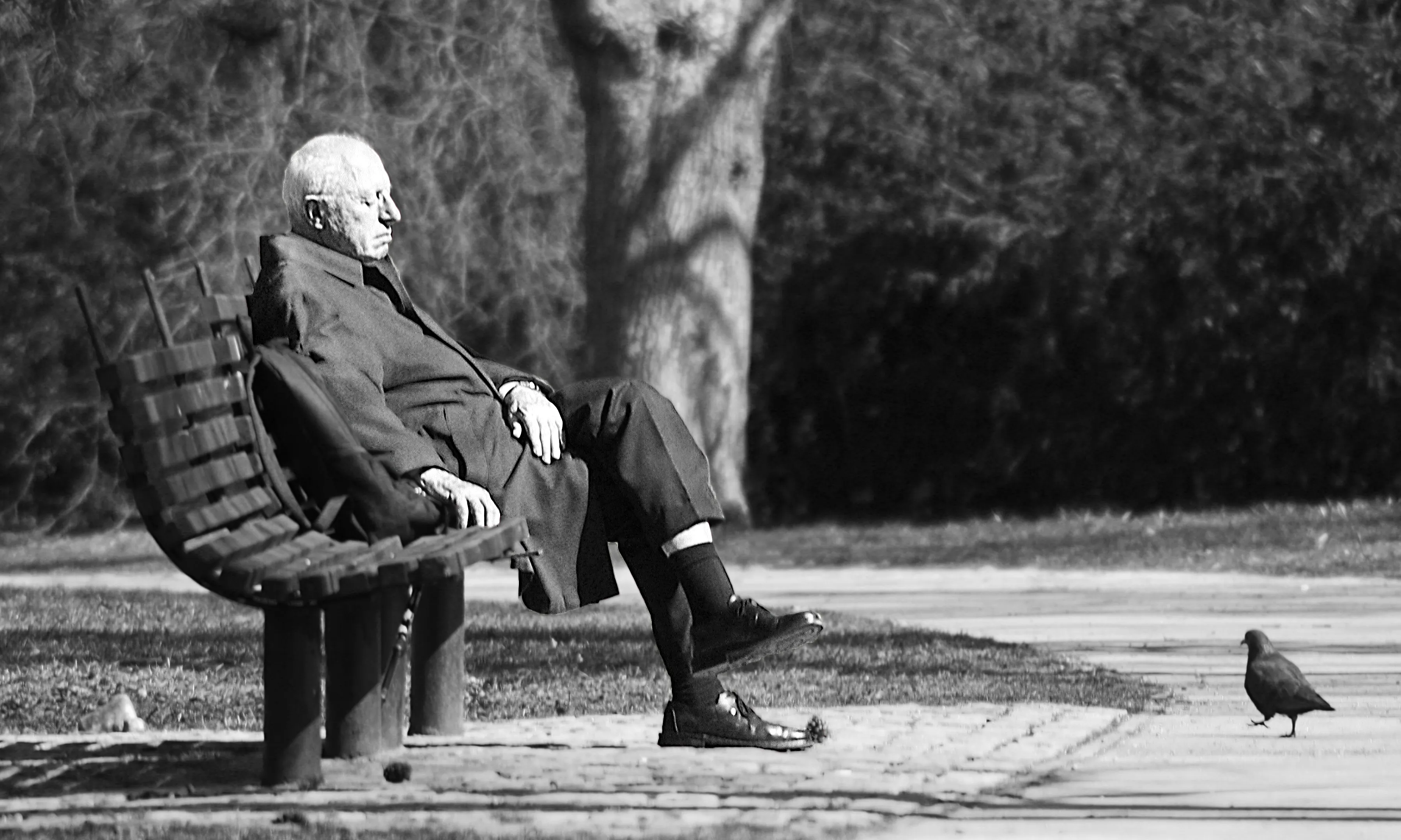 home gran en un banc - Born.to.be.mild