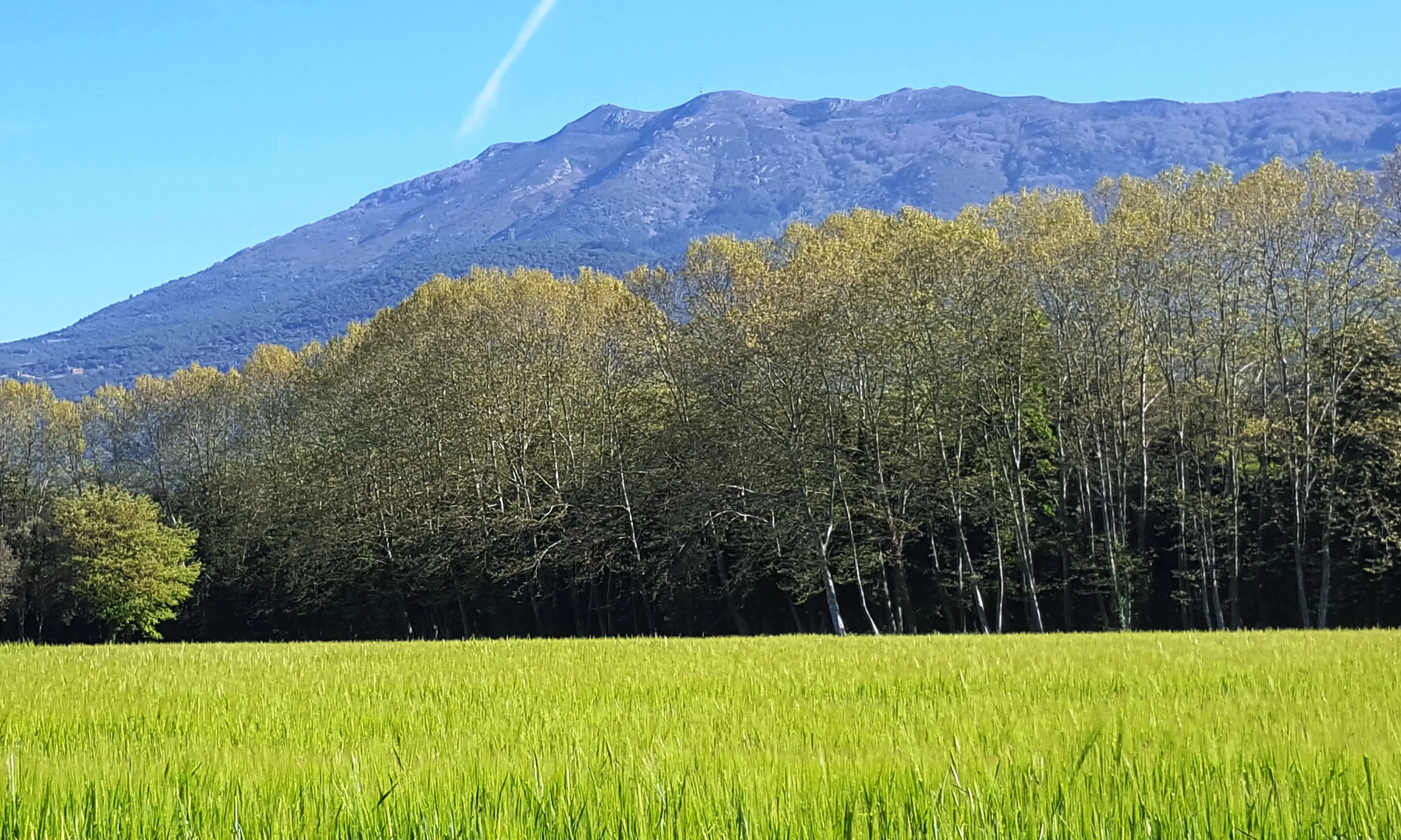 Parc natural del Montseny (Font: turisme-montseny.com/es/)