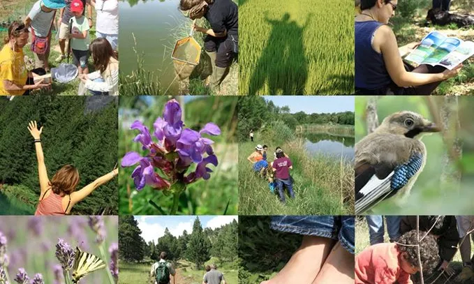 Enguany la Cursa de les Mones forma part de la Setmana de la Natura (imatge: setmananatura.cat)