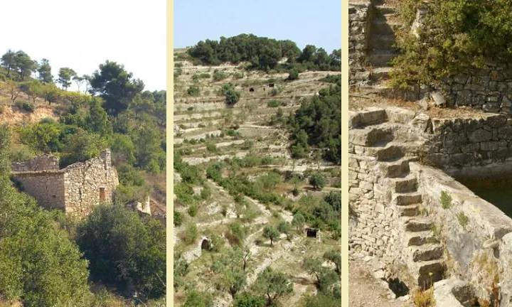 Tres imatges corresponents a les visites guiades de la Fundació El Solà