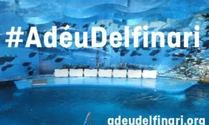 La sol·licitud s'enmarca en el procés de reflexió del nou Zoo de la ciutat (imatge: adéudelfinari.org)
