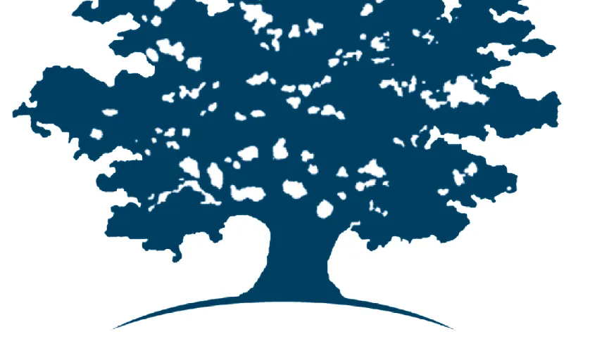 Logo d'Ashoka. Font: Ashoka