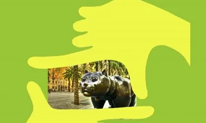 Cartell del concurs