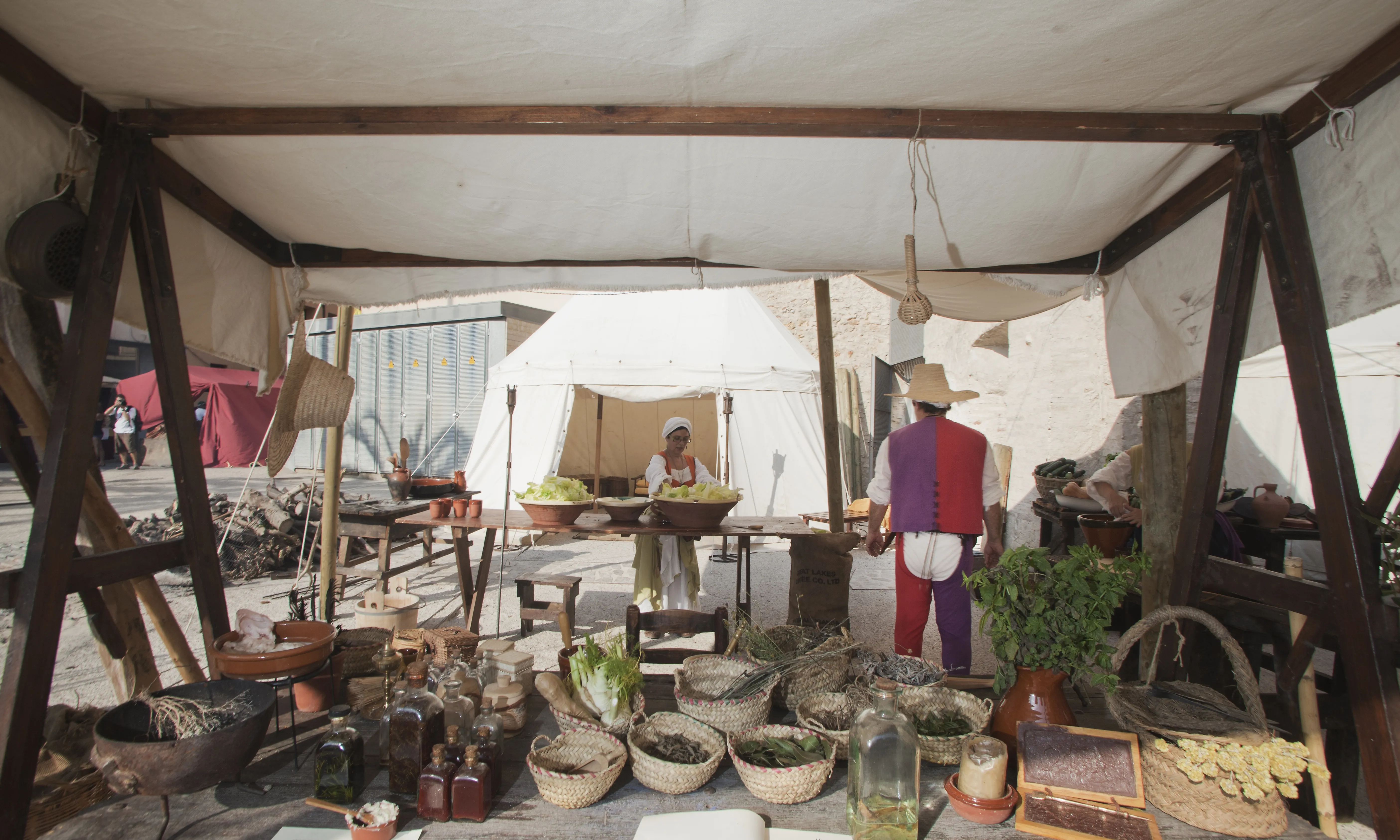 Parada de remeis naturals. Font: l'Associació Cultural Terra de l'Aigua