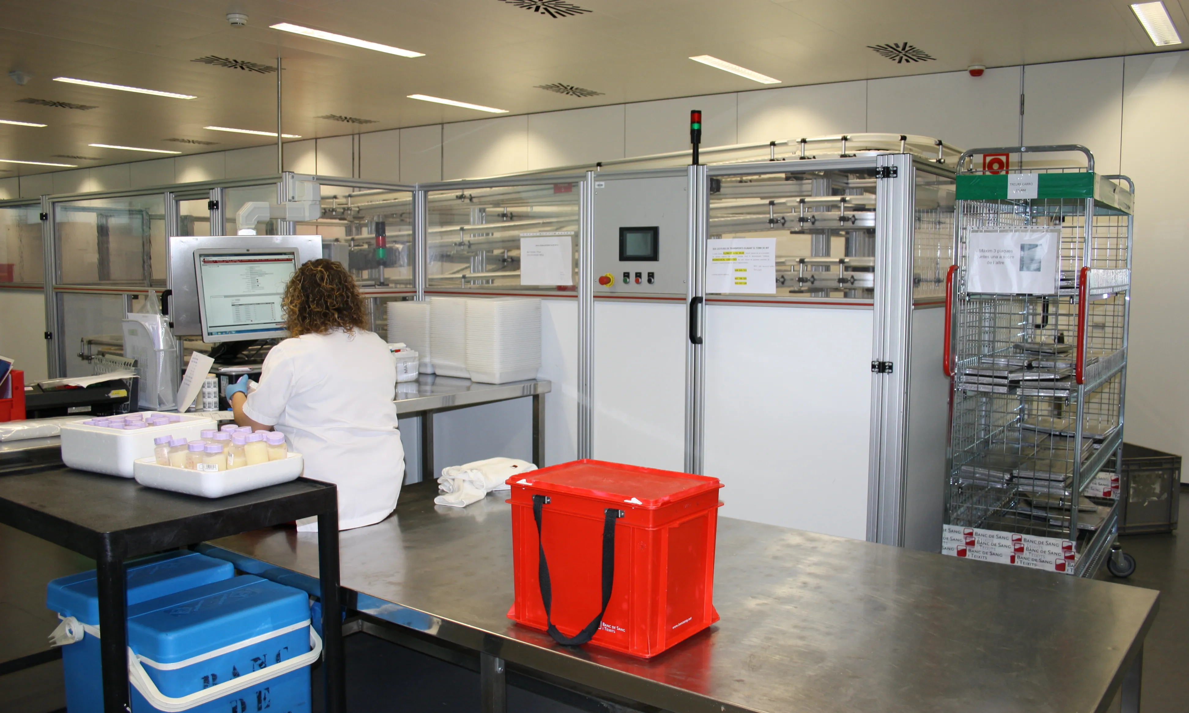 Laboratori on es processa la sang, al Banc de Sang i de Teixits. Foto: Alba Pueyo.