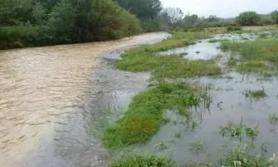 El riu Llobregat (imatge: Anda)