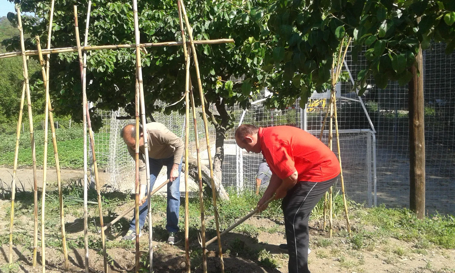 Usuaris de l'entitat treballant a l'hort. Font: Fundació Prodis