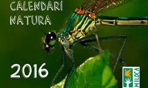 Les fotografies premiades il·lustraran el calendari de l'associació del 2017 (imatge: miloca.org)