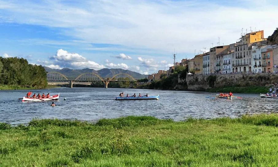 Regata de muletes a Mora d'Ebr. Font: hostallacreu.com