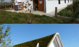 La Reserva de Riet Vell al Delta de l'Ebre és una finca agroecològica de Seo Bird Life (imatge: seo.org)  